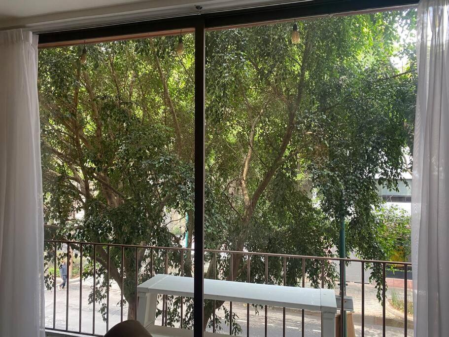 Comfortable Loft At Beautiful Historic Building! Mexico City Ngoại thất bức ảnh